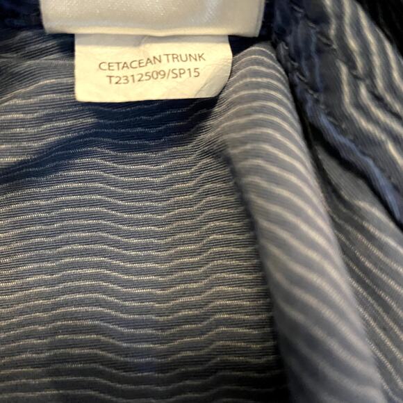 Toad & Co Cetacean Trunk Shorts UPF 40 Striped Supplex Nylon Water Repellent 34" - Picture 4 of 5